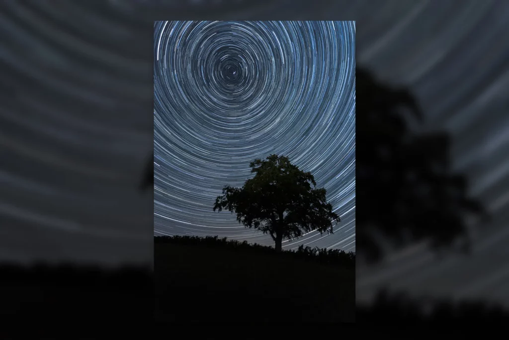 Composition verticale d’un arbre sous filés d’étoiles, avec arrière-plan flouté