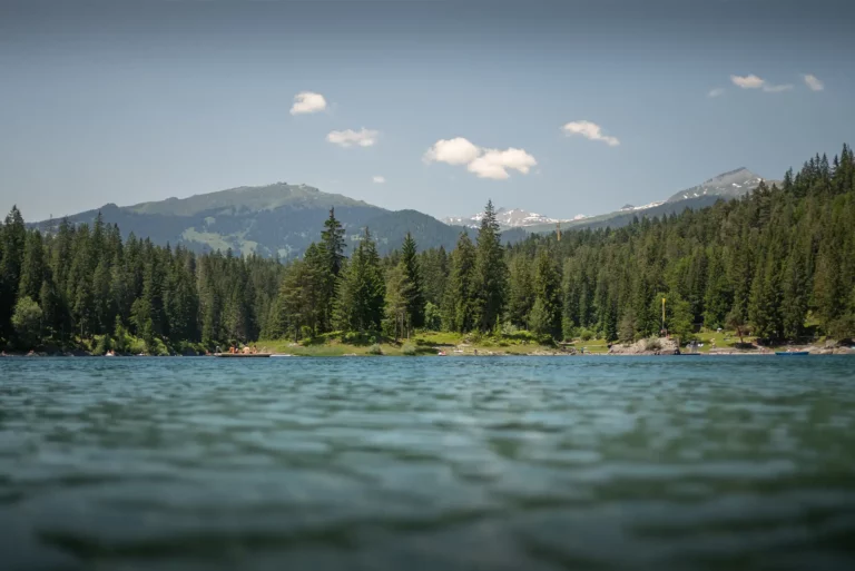 Lac de montagne bordé de sapins, vue au ras de l’eau avec sommets au loin sous un ciel bleu.